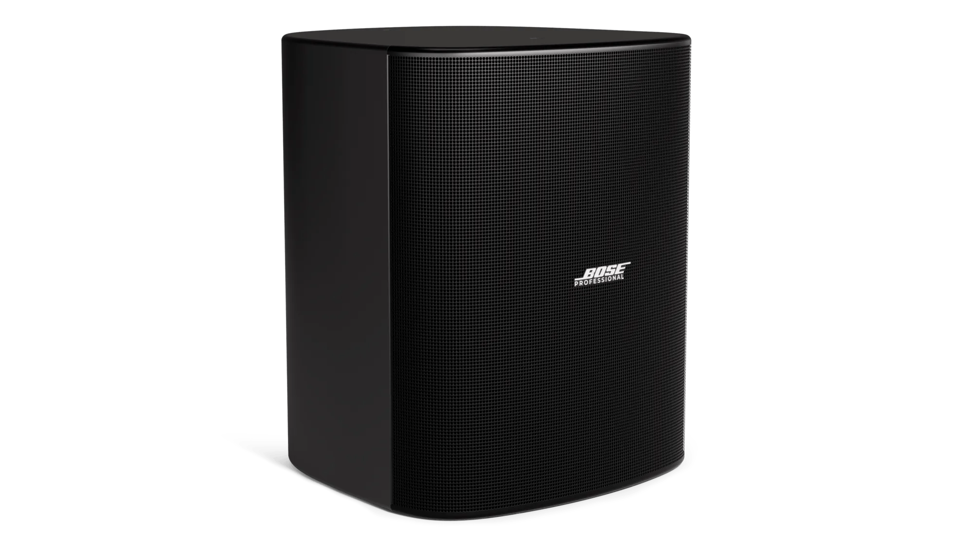 Bose Professional DesignMax DM12SE